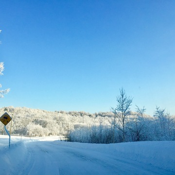 さむーい北海道より、初めましてのご挨拶です。
