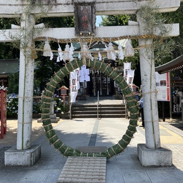 茅の輪くぐりと楽しみにしていたライブ