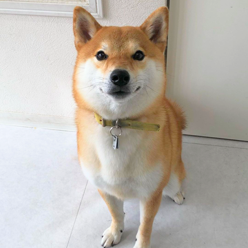 君の 瞳に 恋してる。