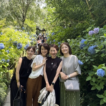 大人の遠足・鎌倉の明月院で美しいアジサイを堪能