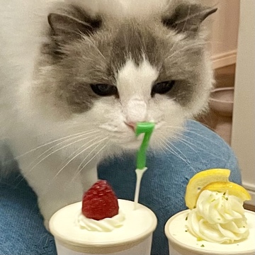 今年の誕生日ケーキは？？？