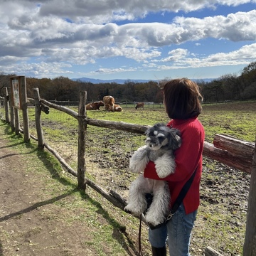 那須高原の人気牧場シュトーレン＆あったかチーズフォンデュ