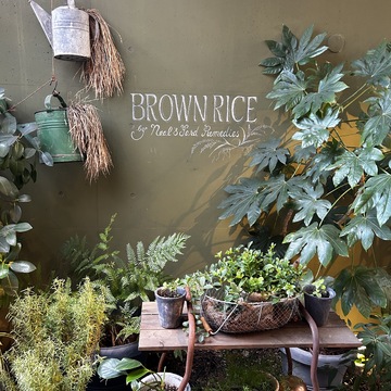 オーガニック&ヴィーガンの幸せランチ　　〜 Brownrice 表参道　〜