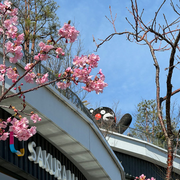 女子旅は〇〇にこだわりたい！！【熊本・阿蘇】
