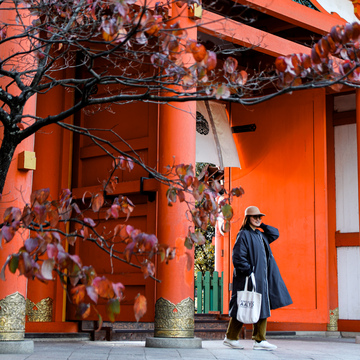 【東京・京都 二拠点暮らし】3月のご挨拶