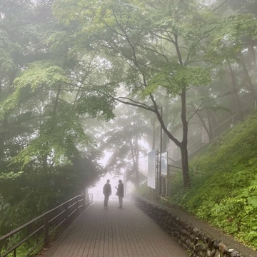 霧雨の高尾山へ