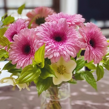 おうち時間を楽しむアイテム