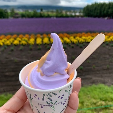 旭川～富良野～帯広へ