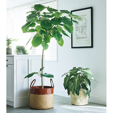 センスあふれるおしゃれなインテリア photo gallery