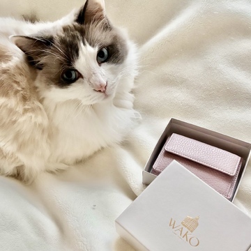 和光×eclat 春色のミニ財布🌸