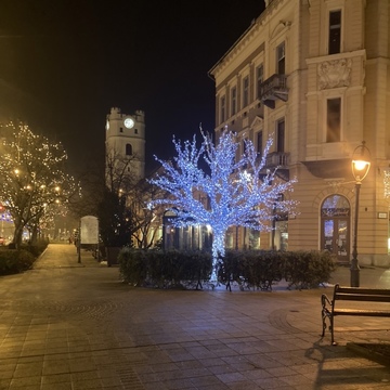 月1 ハンガリー小旅行　　　　