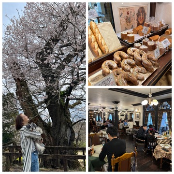 春の那須高原・樹齢300年以上の巨大桜をひとり占め＆行列ができる人気ベーカリー