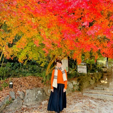 ユニクロ✖️ANYAHINDMARCH セーターで紅葉狩り