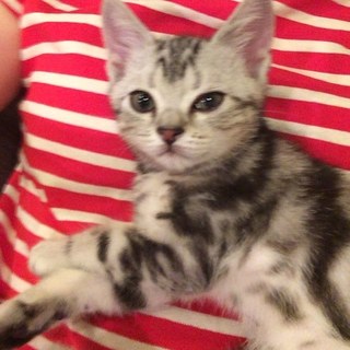 ベビーアラン、ママとお昼寝