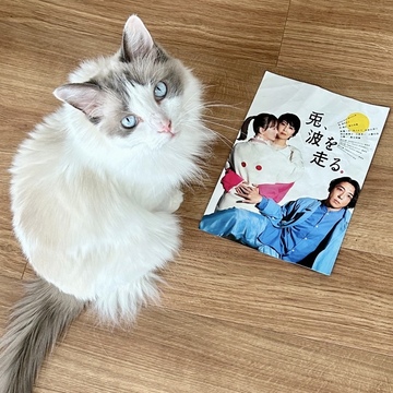 NODA・MAP第26回公演 『兎、波を走る』作・演出・野田秀樹さん