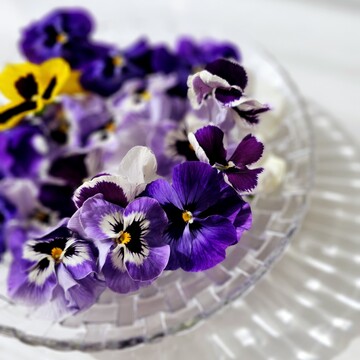 朝の花がら摘み