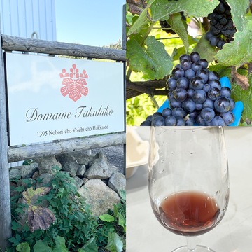 世界に誇る超人気ワイナリーでワイン用ぶどうの収穫に挑戦！