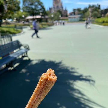 ここ最近のディズニーランド
