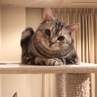 「まあ、落ち着いて。よかったら話、聞くよ？」(動画）