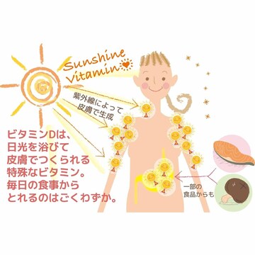 あなたは足りている？健康寿命を左右する「ビタミンD」不足度を今すぐチェック！