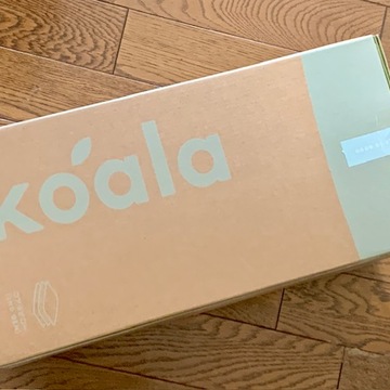 10月25日はコアラの日♡