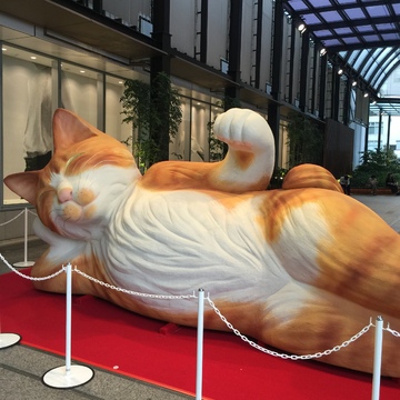 今日のエクラキャット