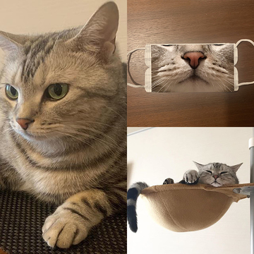 テレワークのお手伝いも任せて！おうち時間に癒やしを与えてくれた「アラン人気記事」【月間ランキングTOP10】