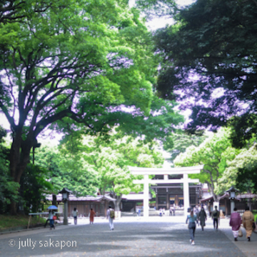 【番外編】雨上がりの参拝@明治神宮