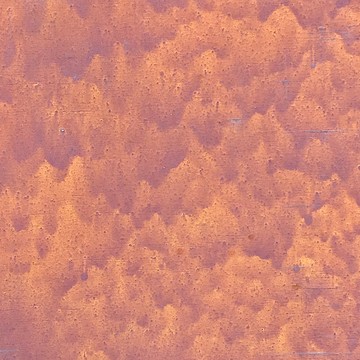 何かと燃ゆる秋。