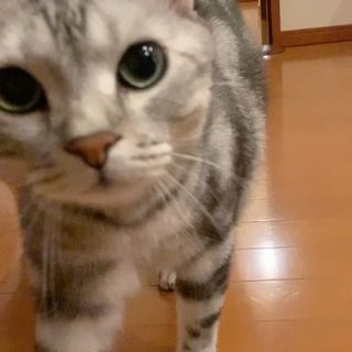 アランとのキスをバーチャル体験⁉︎