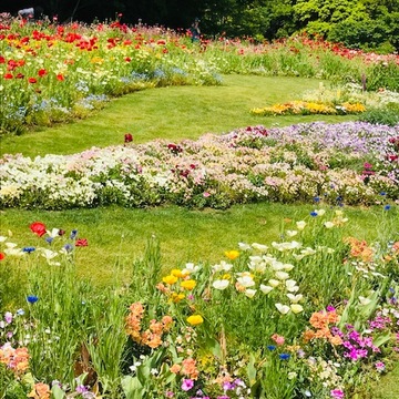 ＊里山ガーデンフェスタ＊Garden Necklace Yokohamaha＊