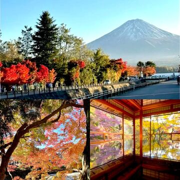 秋色に染まる絶景「2025紅葉の旅、どこへ行く？」秋の日本を彩る紅葉スポット