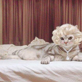 女装も似合う⁉︎