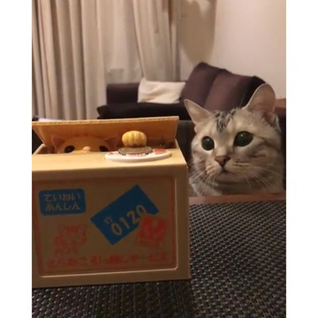 Alain’s Holiday Gift