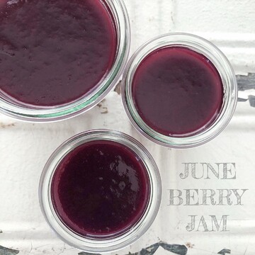 ジューンベリー収穫祭！