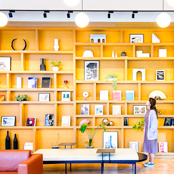 【絶景ハンターさかぽん】名古屋シャチホコ物語🏯✨