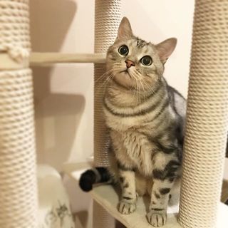 夜中にはりきる男