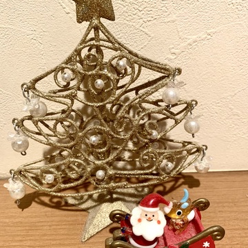 もうすぐクリスマスですね🎄