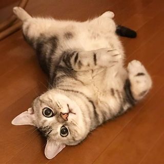 こんにちは！アランです