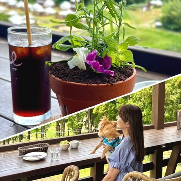 広大な農園のカフェで美味しい鉢植え（パフェ）食べました！