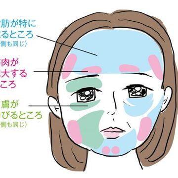 40代「顔が大きくなった？」加齢で大顔化、四角顔化するのはなぜ？