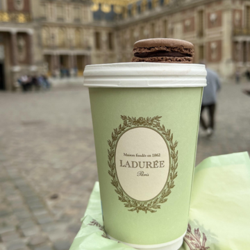 【世界遺産/フランス】Palais et parc de Versailles  ヴェルサイユ宮殿とラデュレの特大マカロンを楽しむ一日