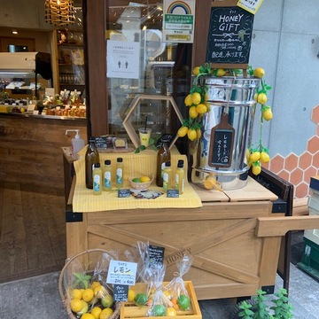 清澄白河お散歩Ⅴ