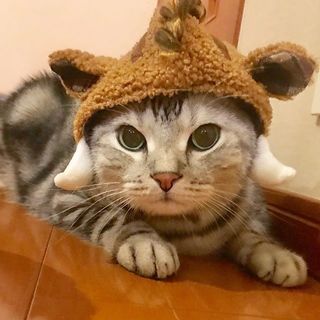 あけましておめでとうございます