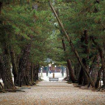 【神在月の出雲旅】八百万の神々が集う地「出雲」へ