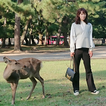 「ライトなグレー」のジレで奈良へ