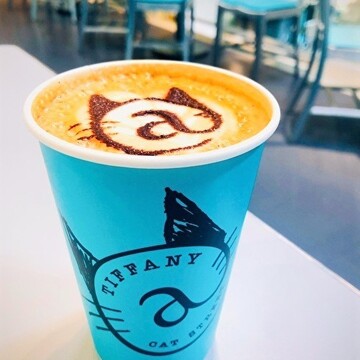 ティファニー@キャットストリート　【祝オープン2周年】