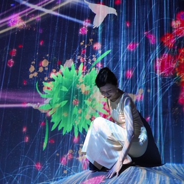 チームラボボーダレス①