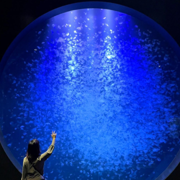 山形満喫日記🖊