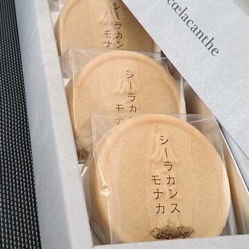 美味♡シーラカンスモナカはお味もネーミングもインパクト大のお菓子！